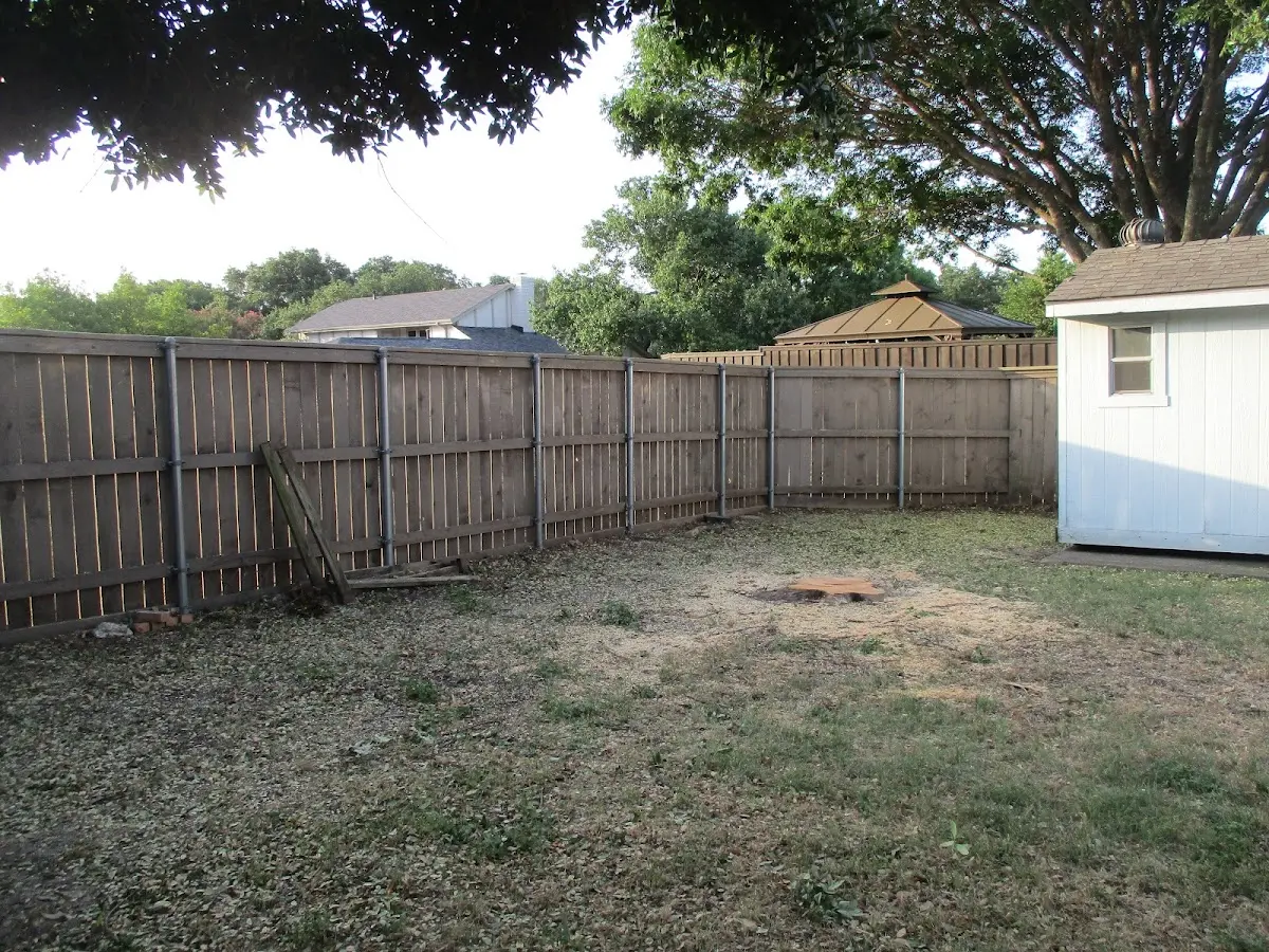 Cleared yard after professional tree removal in Denair